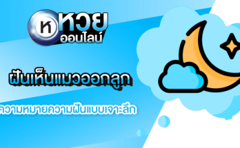 ฝันเห็นแมวออกลูก