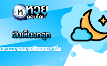 ฝันเห็นนกฮูก