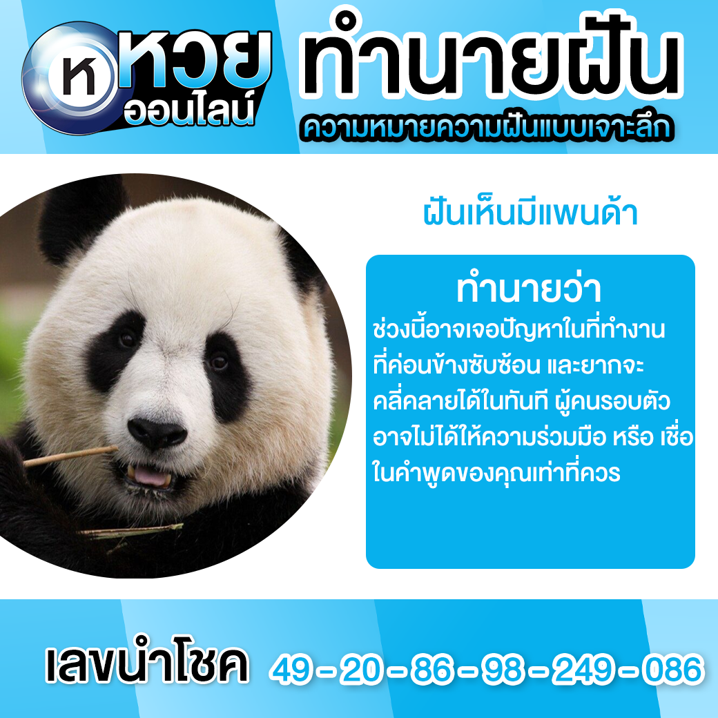 ฝันเห็นมีแพนด้า