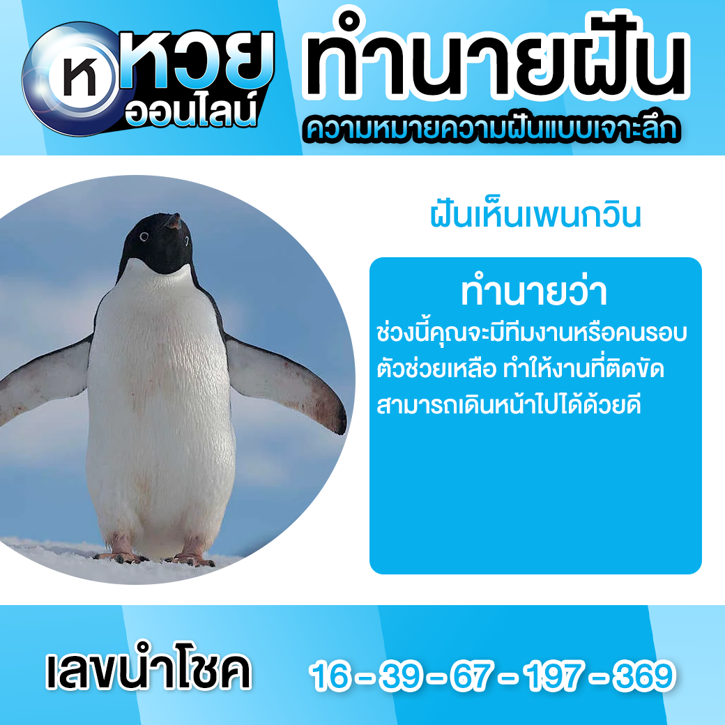 ฝันเห็นเพนกวิน